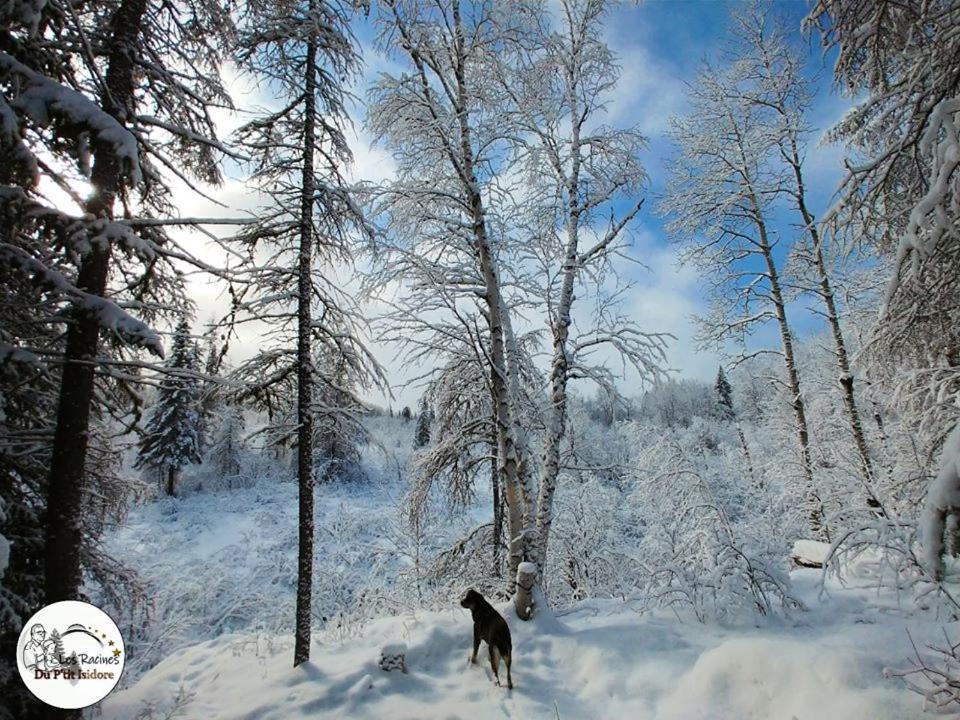 Les Racines Du P'Tit Isidore รูอิน ภายนอก รูปภาพ